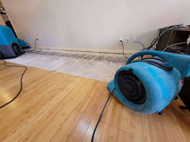 Professional Flood Damage Cleanup technician working in Carlsbad, CA